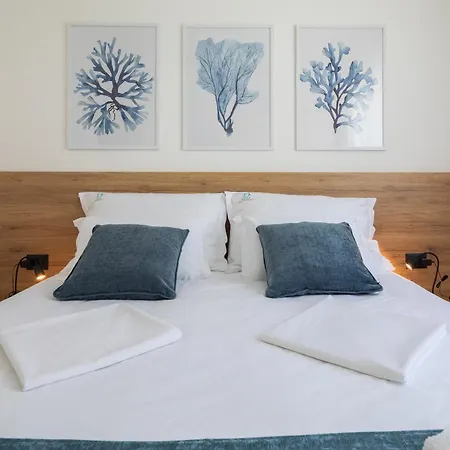 Dada Luxury A2 Promajna