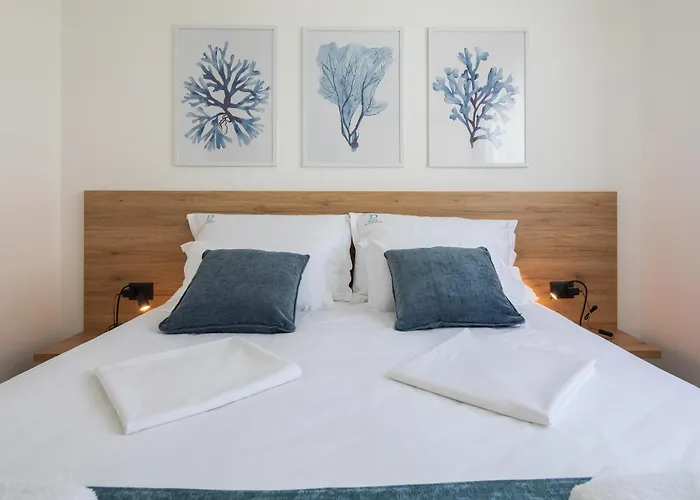 Dada Luxury A2 普罗马尼亚